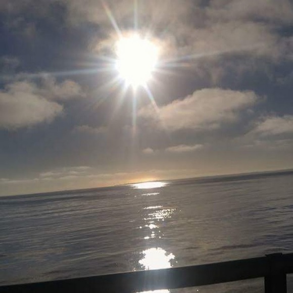 Meet your Posher, Rene - Picture 1 of 1